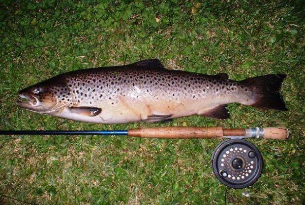 Maybe a chance of an early dollaghan